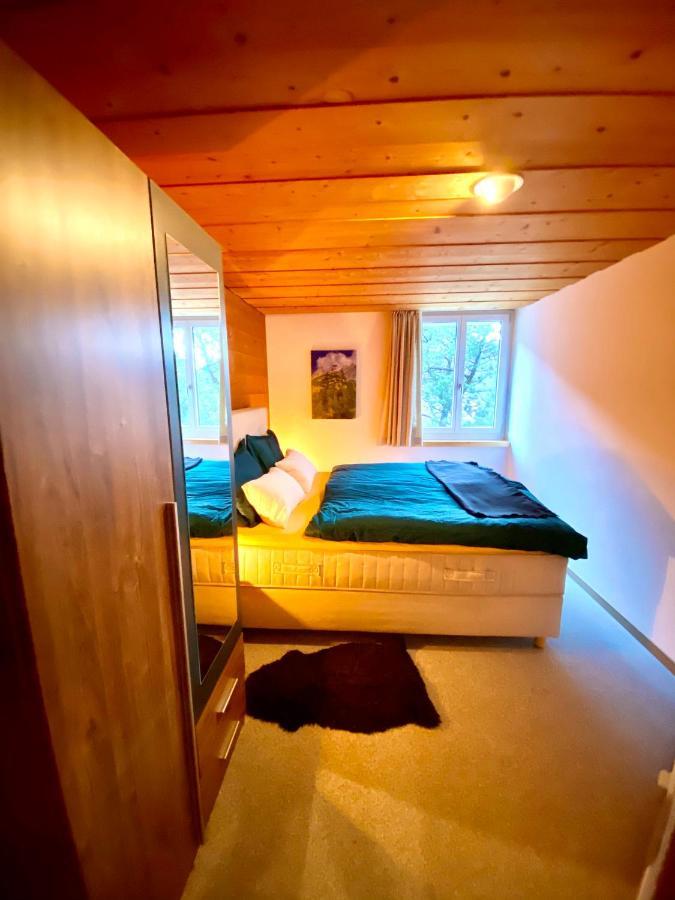 Appartement Aareschlucht- Grandiose Aussicht Fuer 2-6 Pers. Meiringen Buitenkant foto