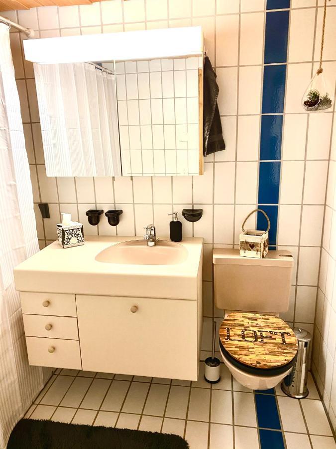 Appartement Aareschlucht- Grandiose Aussicht Fuer 2-6 Pers. Meiringen Buitenkant foto