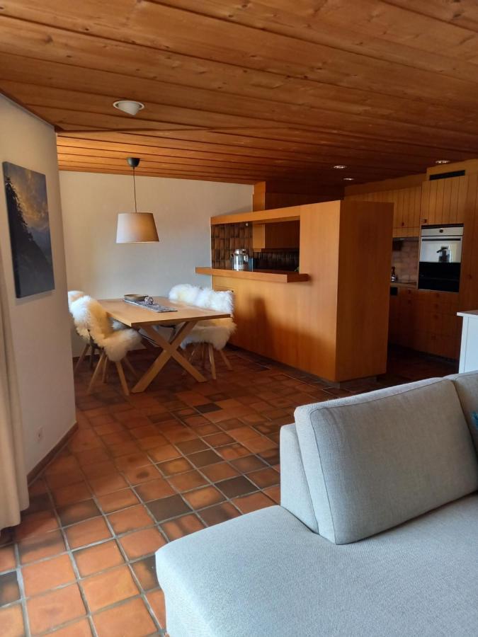 Appartement Aareschlucht- Grandiose Aussicht Fuer 2-6 Pers. Meiringen Buitenkant foto