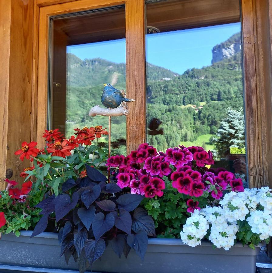 Appartement Aareschlucht- Grandiose Aussicht Fuer 2-6 Pers. Meiringen Buitenkant foto